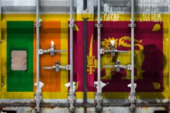 Close-up of the container with the national flag of Sri Lanka. The concept of Sri Lanka export-import and national delivery of goods.