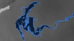 спутниковый снимок