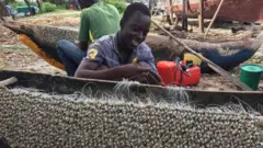 Jinsi dagaa wanavyotumika katika uvuvi