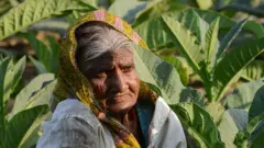ગુજરાતનાં મહિલા ખેડૂત
