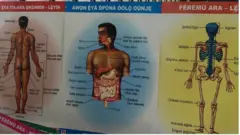 Awọn ẹya ara ọkunrin niwaju ati feremu ara