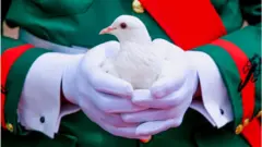 Ologun kan di ẹyẹle mu