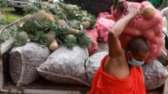 ටැම්පිටියේ වනරතන හිමි