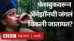 अ‍ॅमेझॉन जंगलातली झाडे तोडून शेती करणाऱ्यांना तिथल्या जमिनी अवैधरीत्या विकल्या जात आहेत.