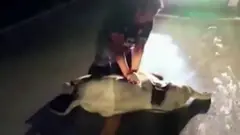 हाथी को सीपीआर
