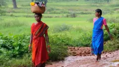 বস্তারের একটি আদিবাসী গ্রামে দিনের শেষে ঘরে ফিরছেন মহিলারা