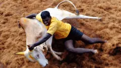 ஜல்லிக்கட்டு போட்டிகள்