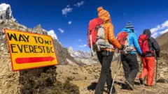 माऊंट एव्हरेस्ट, हिमनदी