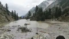وادی نلتر