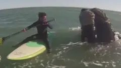 veslač na dasci i kit