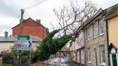 A fallen tree rests against a house blocking a road in Sudbury, Suffolk