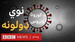 کورونا وېروس: څه ډول نوي ډولونه رامنځ کېږي او د واکسین لپاره په څه مانا دي