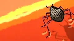 beetle