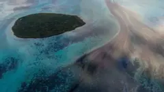 Ekosida