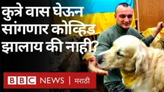 कोरोना व्हायरस, युके
