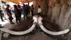 Lafee buqqee mataa fi ilkaan maamazii