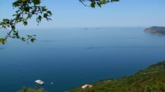 Adalar