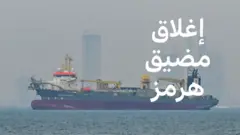 صورة أرشيفية لسفينة في مضيق هرمز