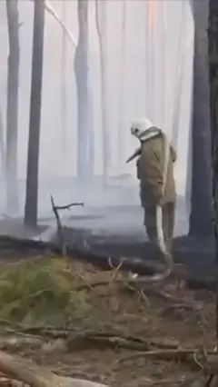 Чорнобиль, пожежа