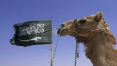 சௌதி அரேபியா, ஒட்டகங்கள், பாஸ்போர்ட், விலங்குகள்
