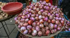 नेपालमा प्याज 