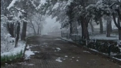 Bir parka kar yağmış, çimler beyaz örtüyle kaplanmış
