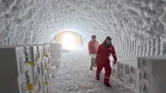 Cientistas1xbetsum túnel coberto1xbetsgelo transportando caixas com amostras1xbetsgelo antigo, armazenadas para preservação1xbetsum ambiente congelado.