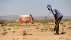 Oday Soomaaliyeed 