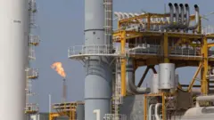 Об'єкти на газовому родовищі Південний Парс, фото 2016 року