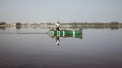 పింక్ లేక్ 