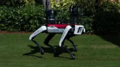 የሮቦት ውሾች 