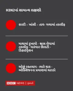 H3N2નાં લક્ષણો