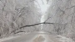 درختان قندیل بسته و قطعی برق گسترده پس از طوفان یخ در اونتاریو