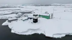 Українська антарктична станція "Академік Вернадський" серед білого снігу