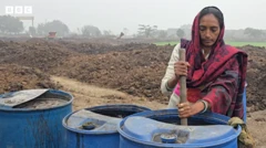 ગાયનું છાણ, ખાતર બનાવીને લાખો રૂપિયાની કહાણી, બિઝનેસ, વેપાર, હરિયાણા, બીબીસી ગુજરાતી