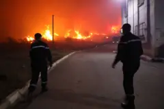 عناصر من الحماية المدنية الجزائرية خلال مكافحة حرائق في غابات في البلاد