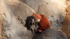 बेबी पंच 