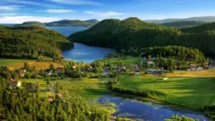 Área verde na Suécia