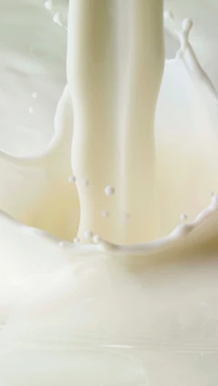 બીબીસી ગુજરાતી