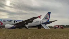 Airbus в поле в Новосибирской области