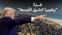 بي بي سي