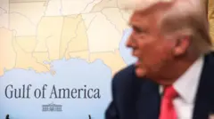 دونالد ترامپ در برابر نقشه «خلیج آمریکا»