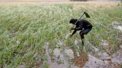 પ્રતીકાત્મક તસવીર