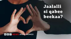 Waa'ee jaalalaa