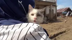 نجات «امبل» از زیر آوار یک هفته پس از سیل مرگبار اندونزی