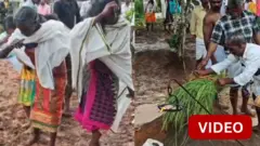 புத்தரி எனப்படும் நெல் அறுவடை திருவிழா