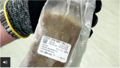 bobbaa namaa qorannoof oolu