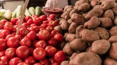 آلو نے لاکھوں سال پہلے سولینسیائی خاندان کے پودوں کی دو انواع کے امتزاج سے جنم لیا جن میں سے ایک ٹماٹر تھا