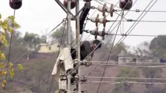 electric