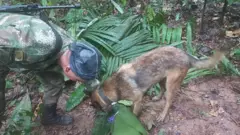 and a dogOne soja and one dog dey examine one pair of scissors on di rainforest floor